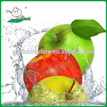 Gala verde / manzana verde de origen / Nueva cosecha de manzana verde